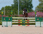 DEL CISTIA DEAUVILLE CampITA2013- S5 0595 : Campionati Italiani 2013, Cattolica, DEAUVILLE B.B., DEL CISTIA MARCO, Horse Riviera Resort, foto di Stefano Secchi ©
